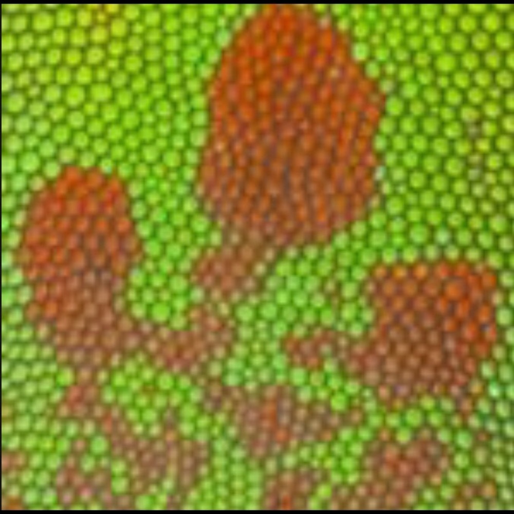 Meet your Posher, Kenneth